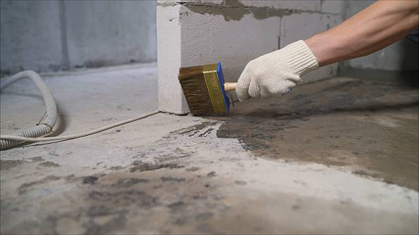 Top rated local Waterproofing specialists in Cookstown, NJ